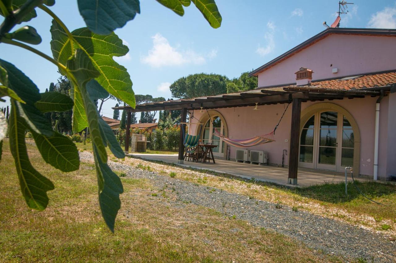 Апарт готель Fattoria Palazzeta - Pet & Family Friendly Чечина Екстер'єр фото