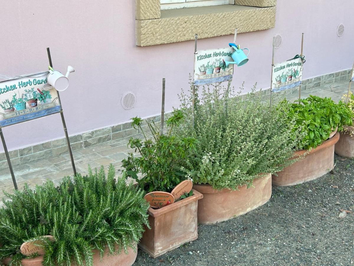 Апарт готель Fattoria Palazzeta - Pet & Family Friendly Чечина Екстер'єр фото