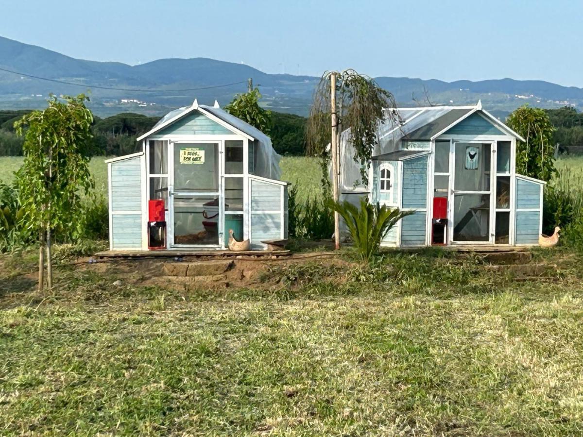 Апарт готель Fattoria Palazzeta - Pet & Family Friendly Чечина Екстер'єр фото